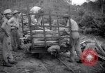 Image of lumbering operations Devil's Island French Guiana, 1939, second 47 stock footage video 65675030233