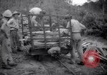 Image of lumbering operations Devil's Island French Guiana, 1939, second 48 stock footage video 65675030233