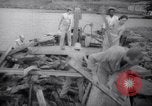 Image of lumbering operations Devil's Island French Guiana, 1939, second 55 stock footage video 65675030233