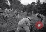 Standbild gefangenen Aktivitäten Devil's Island Guyana, 1939, aus Sekunde 25 historischem Filmmaterial Videoclip 65675030234