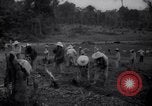 Standbild gefangenen Aktivitäten Devil's Island Guyana, 1939, aus Sekunde 29 historischem Filmmaterial Videoclip 65675030234