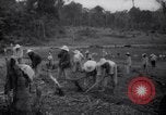 Standbild gefangenen Aktivitäten Devil's Island Guyana, 1939, aus Sekunde 30 historischem Filmmaterial Videoclip 65675030234