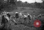 Standbild gefangenen Aktivitäten Devil's Island Guyana, 1939, aus Sekunde 31 historischem Filmmaterial Videoclip 65675030234