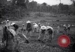 Standbild gefangenen Aktivitäten Devil's Island Guyana, 1939, aus Sekunde 32 historischem Filmmaterial Videoclip 65675030234