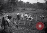 Standbild gefangenen Aktivitäten Devil's Island Guyana, 1939, aus Sekunde 33 historischem Filmmaterial Videoclip 65675030234