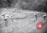 Standbild gefangenen Aktivitäten Devil's Island Guyana, 1939, aus Sekunde 42 historischem Filmmaterial Videoclip 65675030234