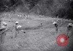 Standbild gefangenen Aktivitäten Devil's Island Guyana, 1939, aus Sekunde 46 historischem Filmmaterial Videoclip 65675030234