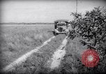 Standbild Railroad Carts Französisch-guayana, 1939, aus Sekunde 20 historischem Filmmaterial Videoclip 65675030236