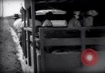 Standbild Railroad Carts Französisch-guayana, 1939, aus Sekunde 27 historischem Filmmaterial Videoclip 65675030236