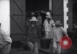 Image prison de l'île du Diable Devil's Island Guyane Française, 1939, de la seconde 36 séquences d'archives historiques vidéo 65675030238