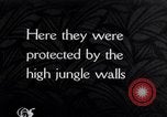 Standbild dichten Dschungel Devil's Island Guyana, 1939, aus Sekunde 1 historischem Filmmaterial Videoclip 65675030245