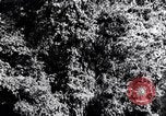 Standbild dichten Dschungel Devil's Island Guyana, 1939, aus Sekunde 14 historischem Filmmaterial Videoclip 65675030245
