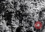 Standbild dichten Dschungel Devil's Island Guyana, 1939, aus Sekunde 16 historischem Filmmaterial Videoclip 65675030245