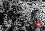 Standbild dichten Dschungel Devil's Island Guyana, 1939, aus Sekunde 18 historischem Filmmaterial Videoclip 65675030245