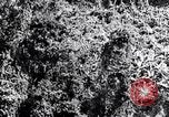Standbild dichten Dschungel Devil's Island Guyana, 1939, aus Sekunde 19 historischem Filmmaterial Videoclip 65675030245