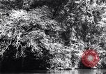 Standbild dichten Dschungel Devil's Island Guyana, 1939, aus Sekunde 33 historischem Filmmaterial Videoclip 65675030245