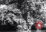 Standbild dichten Dschungel Devil's Island Guyana, 1939, aus Sekunde 34 historischem Filmmaterial Videoclip 65675030245