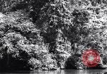 Standbild dichten Dschungel Devil's Island Guyana, 1939, aus Sekunde 35 historischem Filmmaterial Videoclip 65675030245