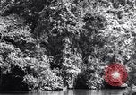 Standbild dichten Dschungel Devil's Island Guyana, 1939, aus Sekunde 36 historischem Filmmaterial Videoclip 65675030245