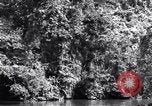 Standbild dichten Dschungel Devil's Island Guyana, 1939, aus Sekunde 37 historischem Filmmaterial Videoclip 65675030245