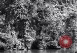 Standbild dichten Dschungel Devil's Island Guyana, 1939, aus Sekunde 38 historischem Filmmaterial Videoclip 65675030245