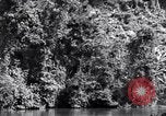Standbild dichten Dschungel Devil's Island Guyana, 1939, aus Sekunde 39 historischem Filmmaterial Videoclip 65675030245