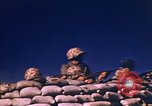 Standbild amerikanischen Marines Nordafrika, 1942, aus Sekunde 58 historischem Filmmaterial Videoclip 65675030248