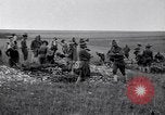 Immagine di Prima Divisione AEF Francia, 1917, secondo 1 filmato di repertorio 65675030258