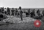 Immagine di Prima Divisione AEF Francia, 1917, secondo 10 filmato di repertorio 65675030258