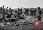 Immagine di Prima Divisione AEF Francia, 1917, secondo 16 filmato di repertorio 65675030258