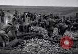 Immagine di Prima Divisione AEF Francia, 1917, secondo 32 filmato di repertorio 65675030258