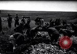 Immagine di Prima Divisione AEF Francia, 1917, secondo 36 filmato di repertorio 65675030258