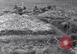 Immagine di Prima Divisione AEF Francia, 1917, secondo 40 filmato di repertorio 65675030258