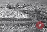 Immagine di Prima Divisione AEF Francia, 1917, secondo 41 filmato di repertorio 65675030258