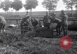 Immagine di American 2° campo battaglione di segnale Francia, 1917, secondo 14 filmato di repertorio 65675030259