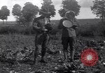 Immagine di American 2° campo battaglione di segnale Francia, 1917, secondo 54 filmato di repertorio 65675030259