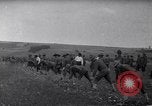 Image of 21st Division AEF France, 1917, second 45 stock footage video 65675030261