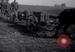 Image of Vickers Q.F. Mark II 40mm Gun. France, 1917, second 7 stock footage video 65675030263
