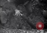 Image of firing Stokes mortar France, 1917, second 29 stock footage video 65675030264