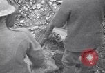 Image of firing Stokes mortar France, 1917, second 33 stock footage video 65675030264