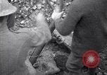 Image of firing Stokes mortar France, 1917, second 44 stock footage video 65675030264