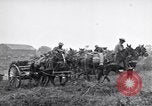 Image convoi de l'Armée américaine France, 1918, de la seconde 21 séquences d'archives historiques vidéo 65675030273