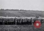 Image of Major General Charles P Summerall France, 1918, second 42 stock footage video 65675030279