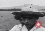 Immagine di Ribellione Guatemala, 1954, secondo 25 filmato di repertorio 65675030287