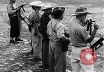 Immagine di Ribellione Guatemala, 1954, secondo 59 filmato di repertorio 65675030287