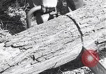 Image tracteur générateur alimenté Hinsdale Illinois USA, 1954, de la seconde 17 séquences d'archives historiques vidéo 65675030289