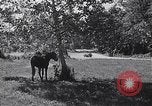 Standbild Cargo Carrier Aberdeen Maryland USA, 1954, aus Sekunde 7 historischem Filmmaterial Videoclip 65675030299