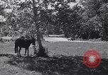 Standbild Cargo Carrier Aberdeen Maryland USA, 1954, aus Sekunde 8 historischem Filmmaterial Videoclip 65675030299