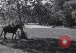 Standbild Cargo Carrier Aberdeen Maryland USA, 1954, aus Sekunde 9 historischem Filmmaterial Videoclip 65675030299