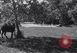 Standbild Cargo Carrier Aberdeen Maryland USA, 1954, aus Sekunde 10 historischem Filmmaterial Videoclip 65675030299